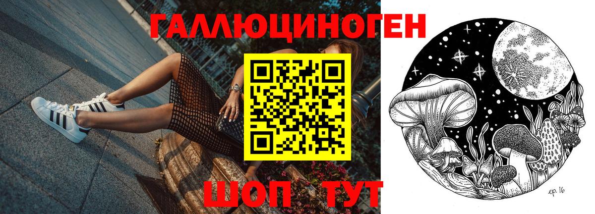 что такое наркотик  Галлюциногенные грибы GOLDEN TEACHER  Вход с VPN  Галлюциногенные грибы GOLDEN TEACHER  Алексин 