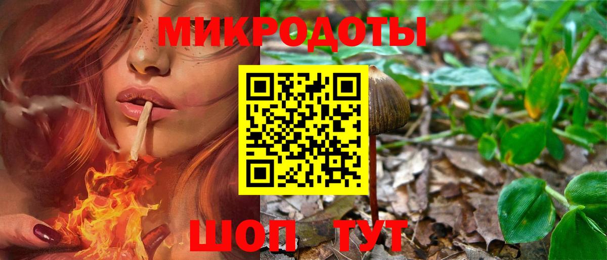 Галлюциногенные грибы Magic Shrooms Алексин