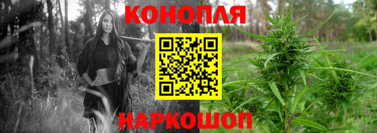Алексин  Канабис индика  Вход с VPN  Бошки марихуана THC 21%  МАРИХУАНА White Widow 